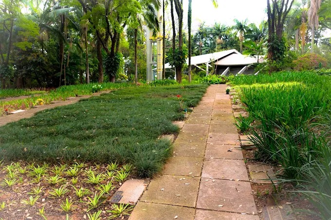 Estrutura 4